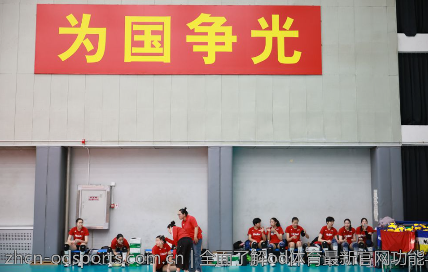 全面了解od体育最新官网功能与服务