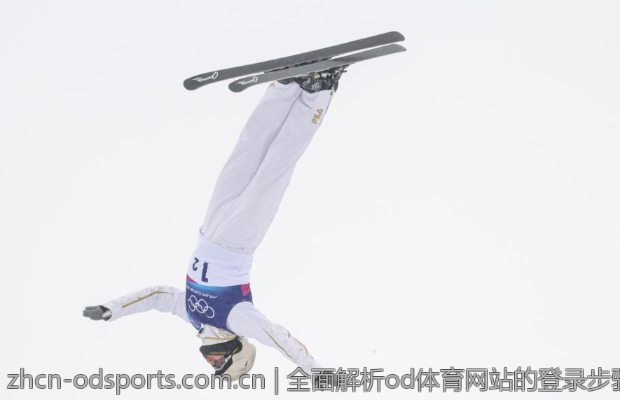 OD体育官方登录用户体验评测